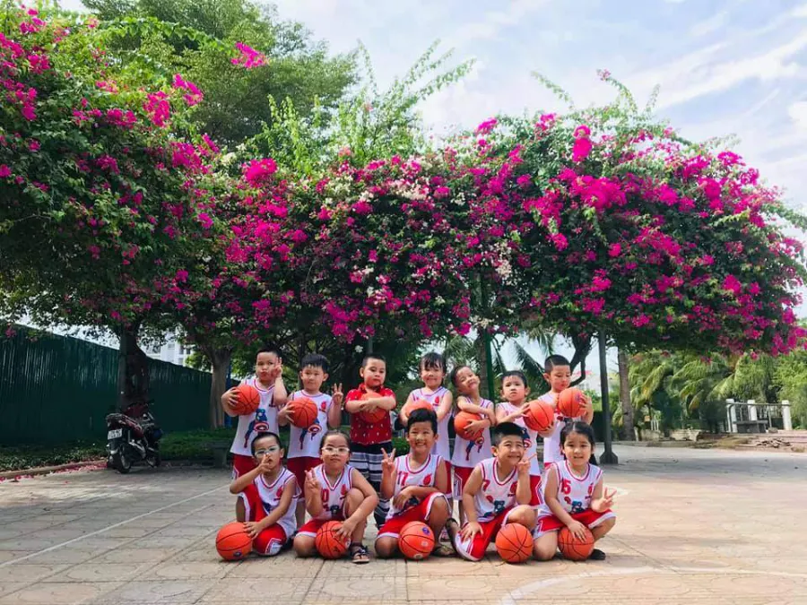 Trường mầm non Ngôi Sao Xanh