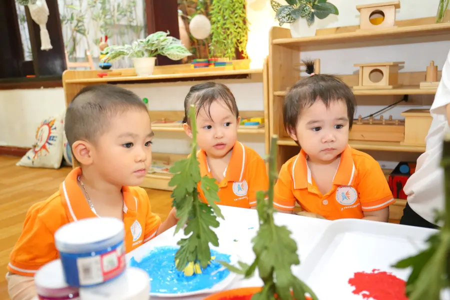 Trường mầm non An Village Hoa Mai
