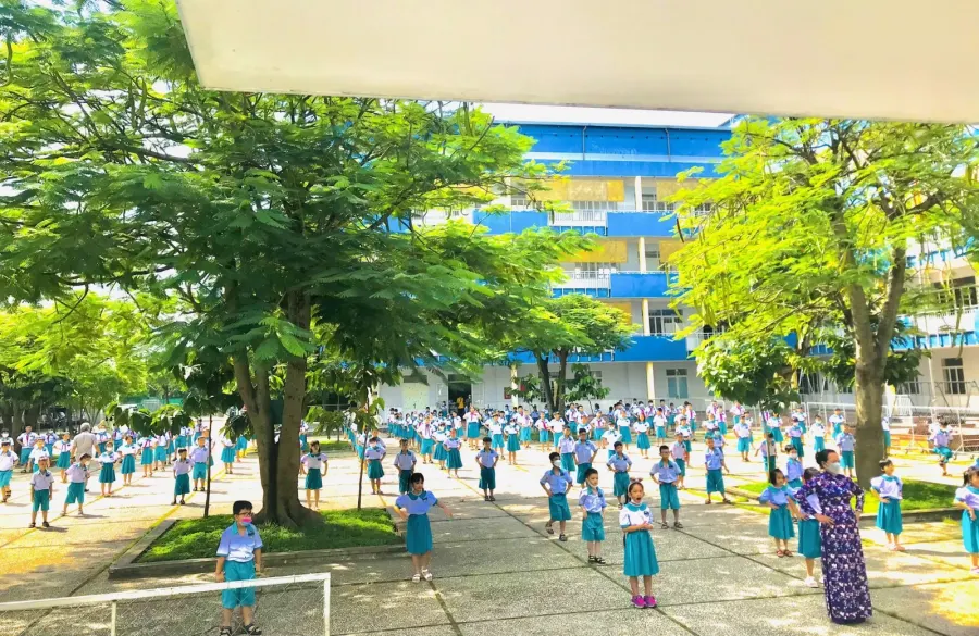 Trường Tiểu Học, Mầm Non Phù Đổng