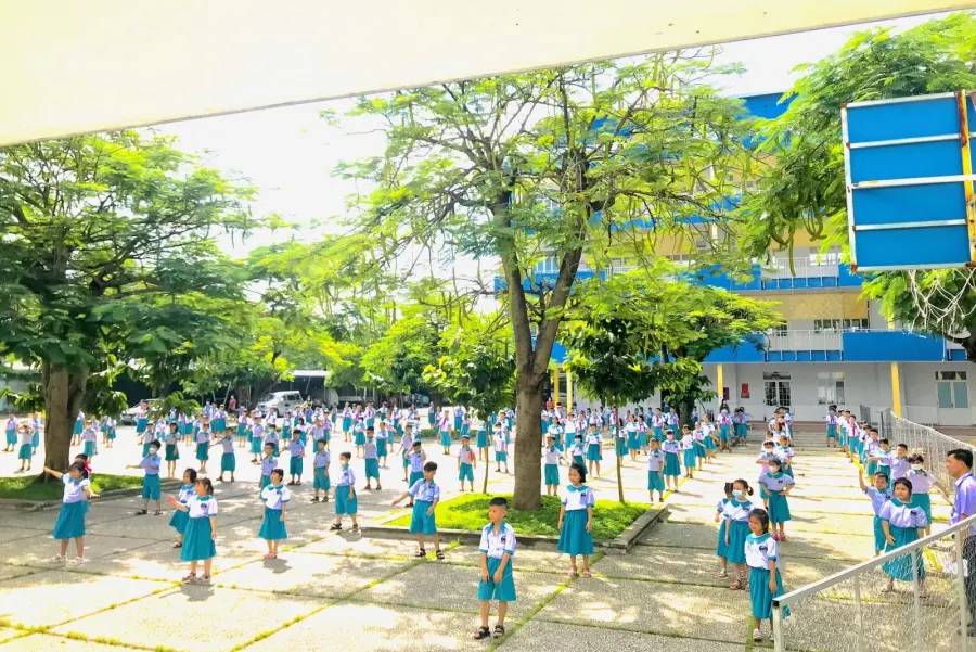 Trường Tiểu Học, Mầm Non Phù Đổng