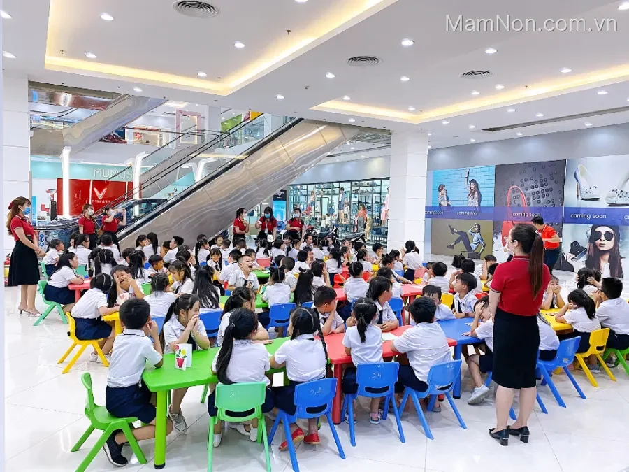 Trường Tiểu học - Mầm non Việt Anh