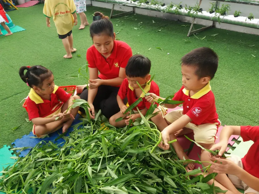 Trường mầm non Mặt Trời Nhỏ 2
