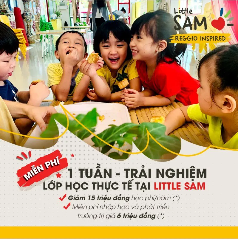 Trường Mầm non Song ngữ Little SAM - Phường 7 Q. Gò Vấp
