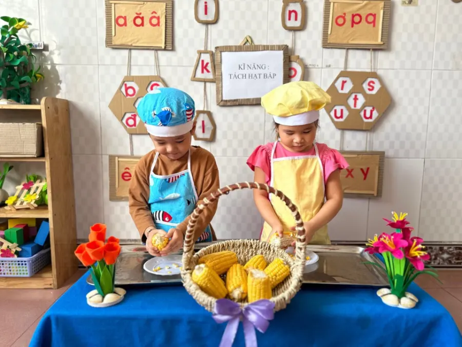 Mầm Non Song Ngữ Ánh Sáng (Apollo school) - Tân Đông Hiệp, Dĩ An