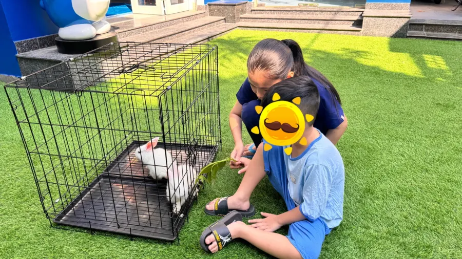 Trung tâm hỗ trợ phát triển giáo dục hoà nhập Búp Măng Non - Linh Trung, Thủ Đức