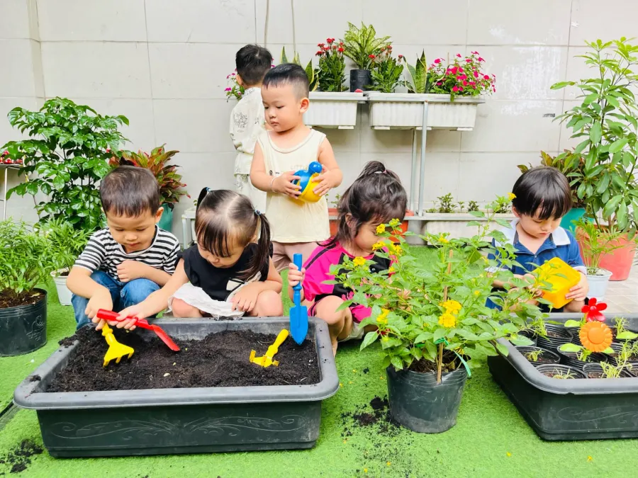 Mầm Non Trí Việt