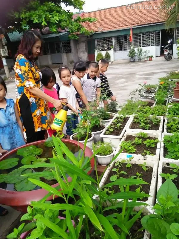 Trường mầm non Cẩm Sơn 1