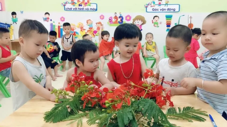 Cơ Sở Mầm Non Hoa Hướng Dương (SUNFLOWER) - Tân Mỹ Bắc Giang