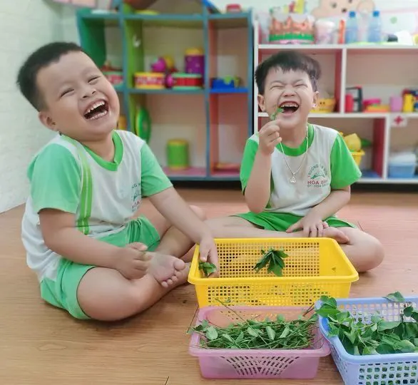 Trường mầm non Hòa Bình - Đông Thạnh, Hóc Môn