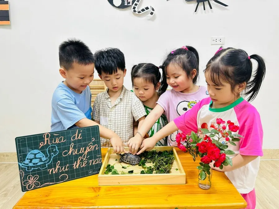 Trường mầm non Quốc tế Hà Nội - HIK Hà Đông CS1
