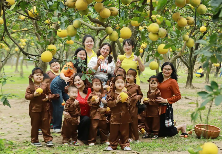Trường Mầm Non Mặt Trời Của Bé