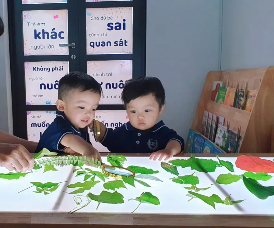 Trường Mầm Non Kyoto Montessori Kindergarten