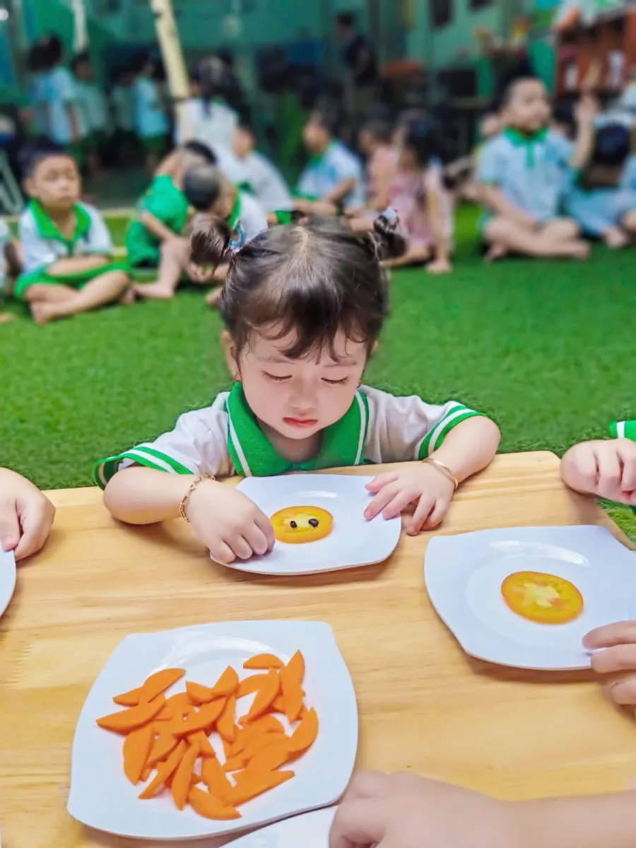 Trường Mầm Non Hoạ Mi Nâu - Đông Tân