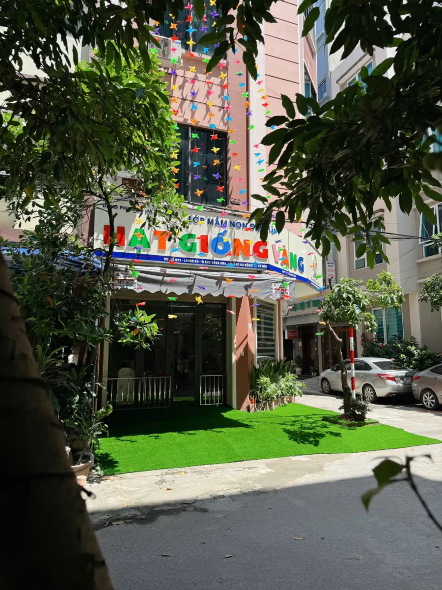 Mầm Non Hạt Giống Vàng (Golden Seeds Preschool)