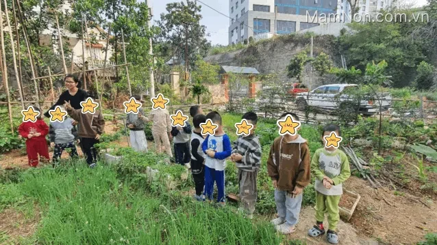 Trung Tâm Hỗ Trợ Phát Triển Giáo Dục Hòa Nhập Vì Ngày Mai
