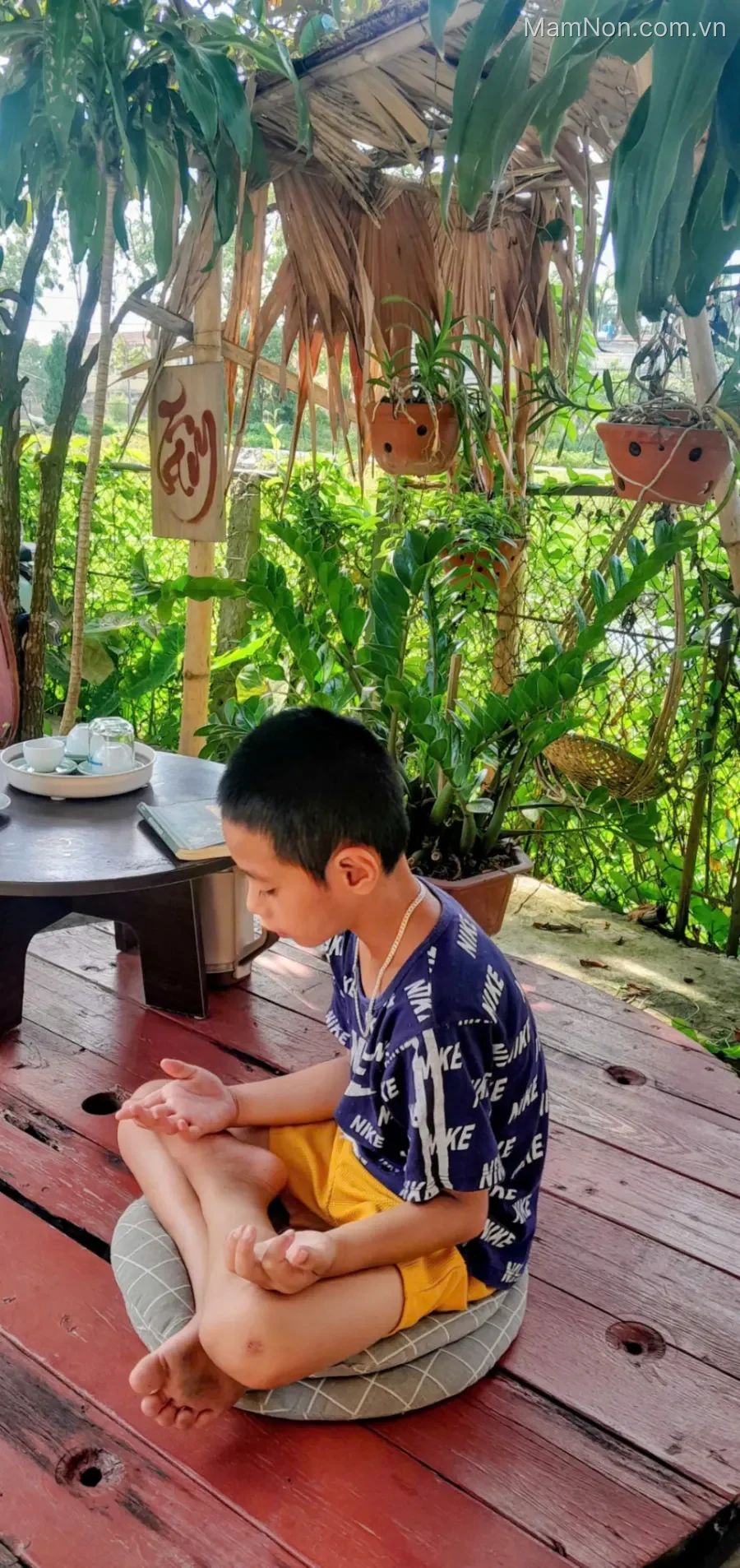 Trung Tâm Đào Tạo Hoa Sen Coaching - Đông Tiên Hưng