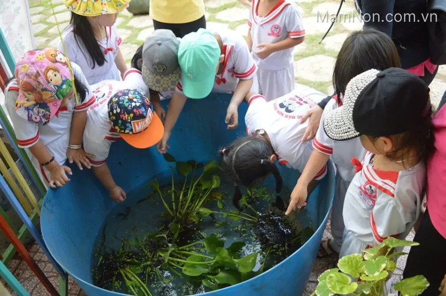 Trường mầm non Hạnh Phước