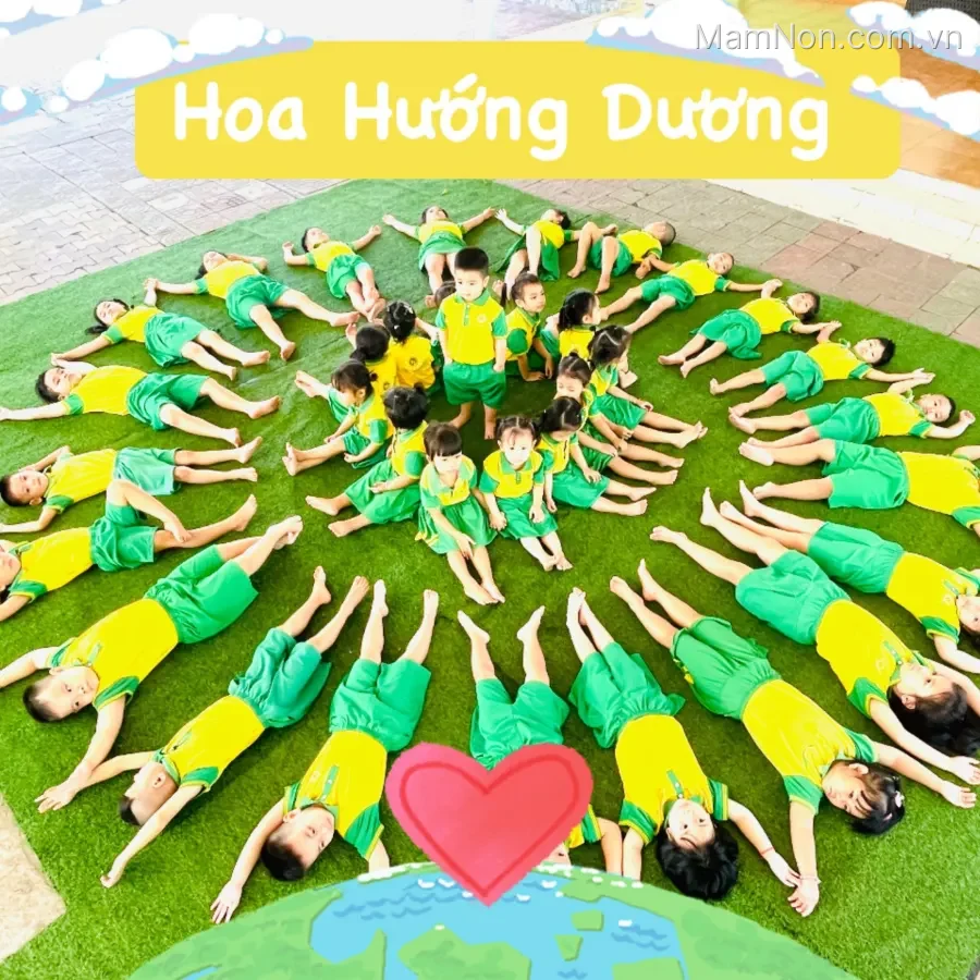 Trường mầm non Hoa Hướng Dương