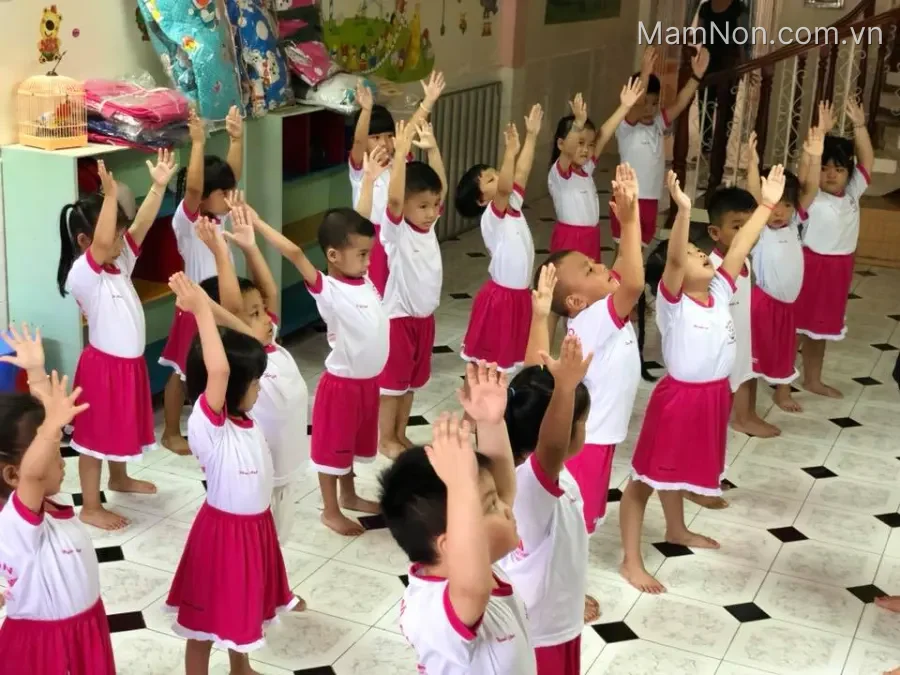 Trường mầm non Búp Sen Hồng