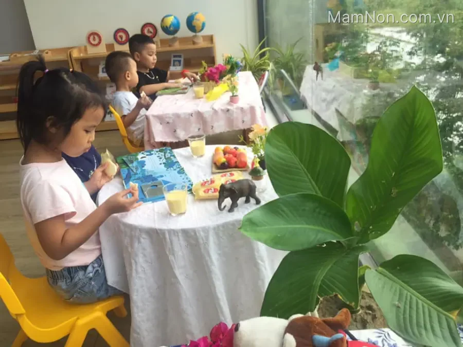 Trường mầm non quốc tế Sakura