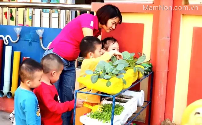 Trường mầm non Bông Sen
