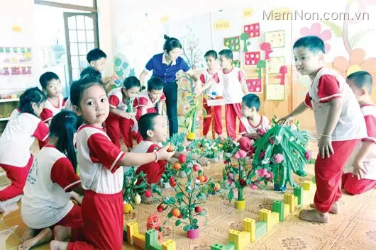 Trường mầm non Hoa Bưởi