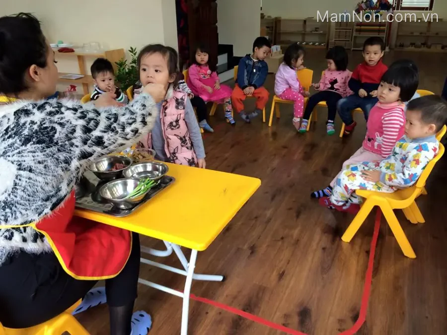 Trường mầm non quốc tê Ánh Sáng Tri Thức Montessori