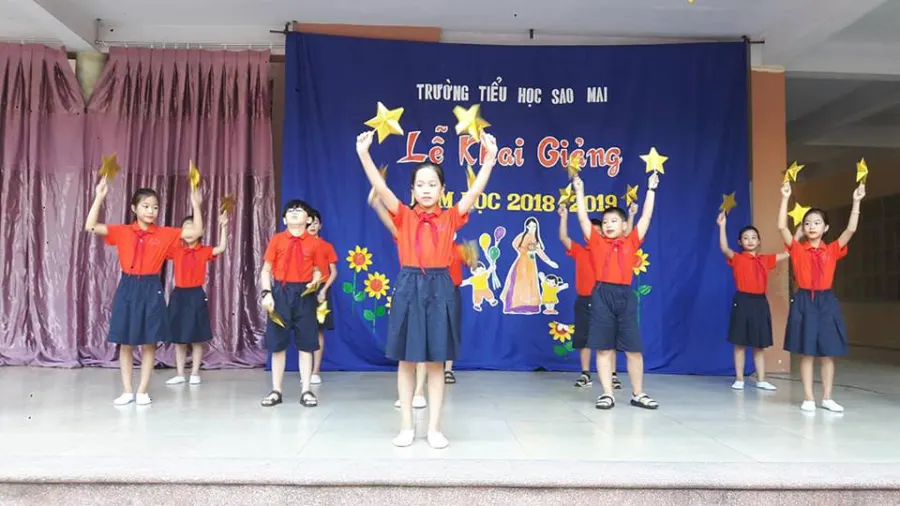 Trường mầm non & tiểu học Sao Mai