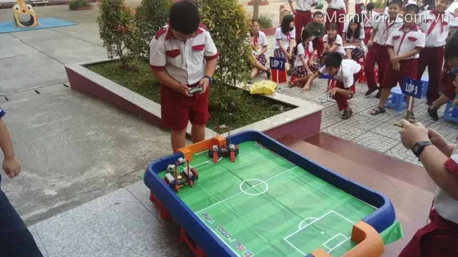 Trường tiểu học Trí Tuệ Việt