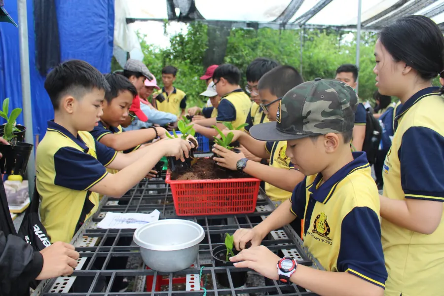 Trường Tiểu học Tuệ Đức