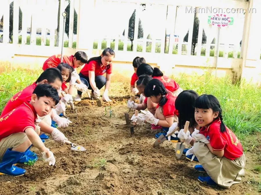 Trường Mầm Non - Tiểu Học Việt Úc
