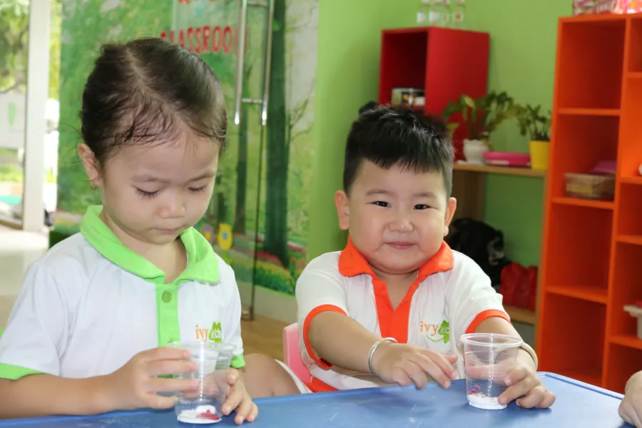 Trường mầm non song ngữ Ivy Kids