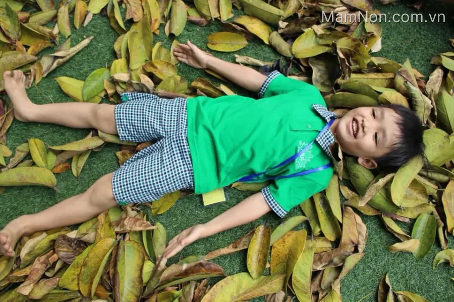 Trường mầm non Lá Phong Xanh Ecopark ( MLA The Maple Leaf International shool )