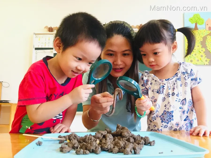 Trường mầm non BEEs' Tiny College-  Mai Hắc Đế