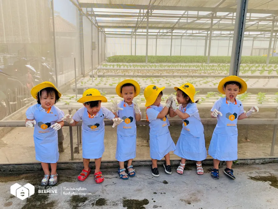 Hệ thống mầm non THE GOLD BEEHIVE -Bùi Thị Xuân
