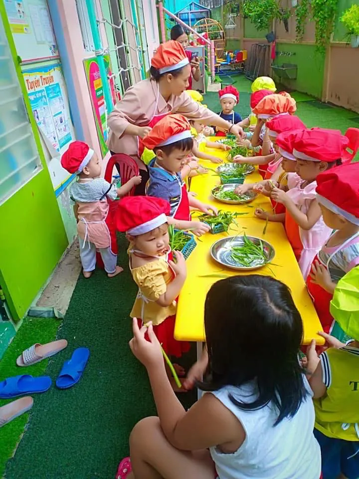 Mầm non Dâu Tây