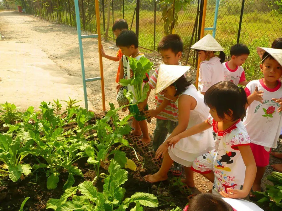 Trường mầm non Hoa Hồng