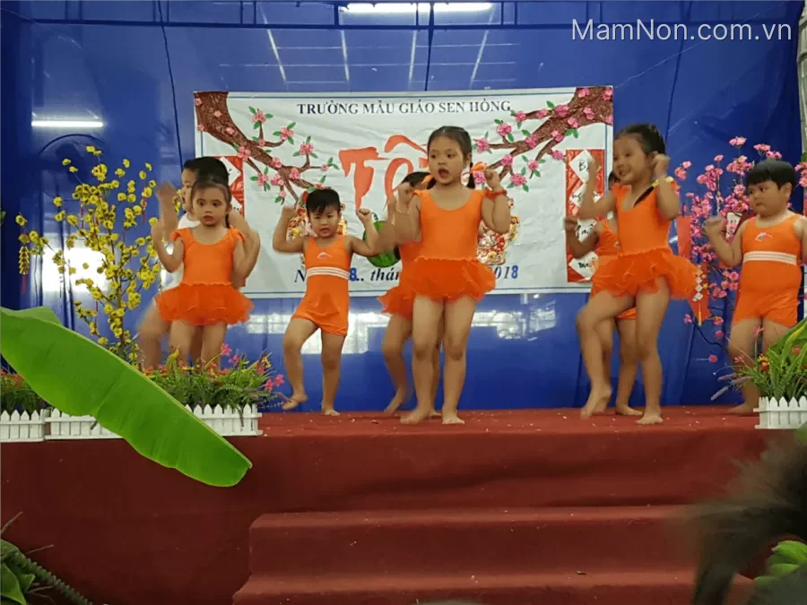 Trường Mẫu Giáo Sen Hồng