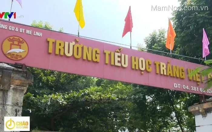 Trường Tiểu học Tráng Việt B