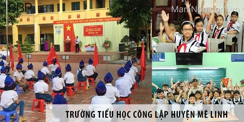 Trường tiểu học Tráng Việt A