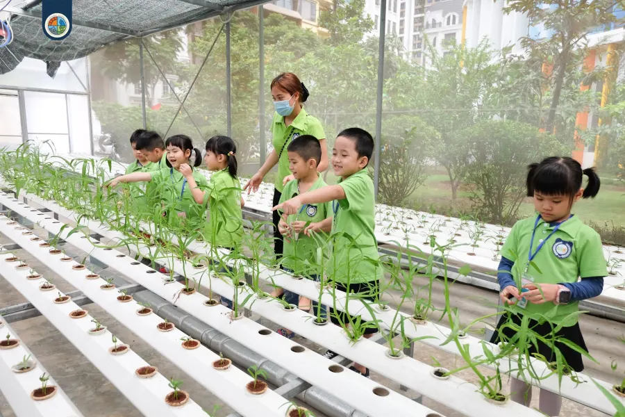 Trường tiểu học Genesis School Hanoi