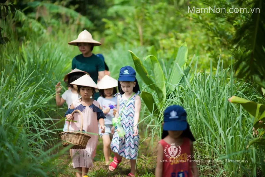 Trường tiểu học Maya School