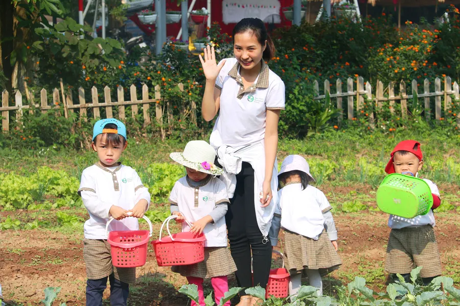Trường mầm non Cây Nhỏ ( Baby Trees Montessori ) - Vũ Đức Thận, Việt Hưng