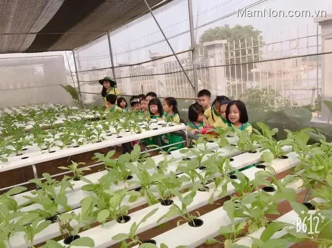 Trường mầm non Sinh Thái (  Erahouse  )- Giang Biên