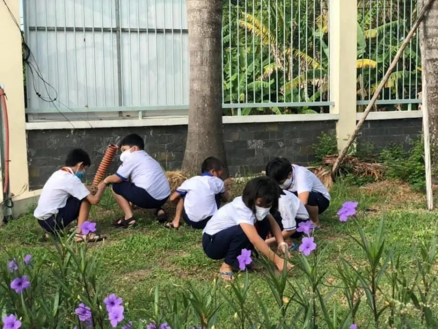 Trường Tiểu Học Tân Hiệp