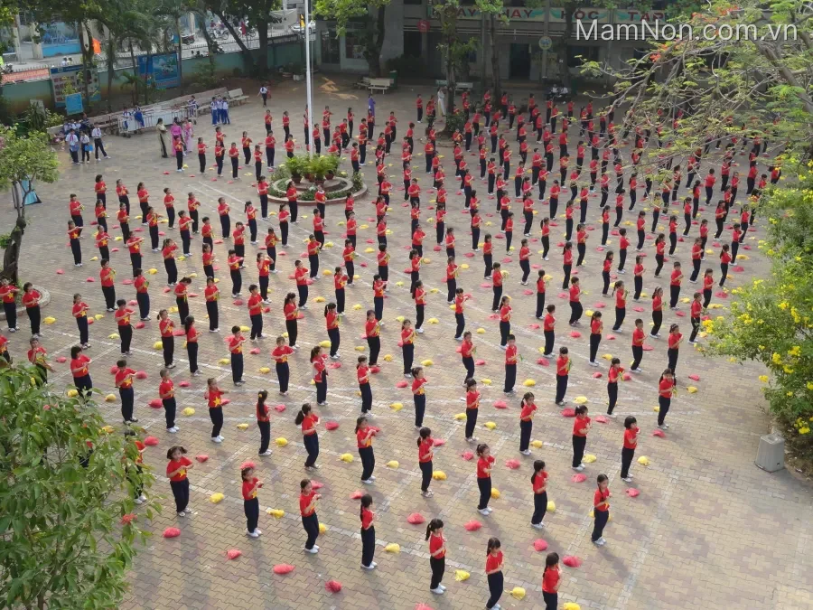 Trường Tiểu Học Nguyễn Du