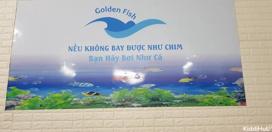 Trung Tâm Dạy Bơi Cho Trẻ Sơ Sinh Golden Fish