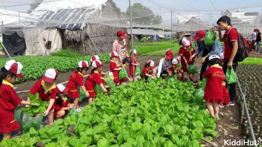 Trường Mầm Non Sao Vàng - Phường 25