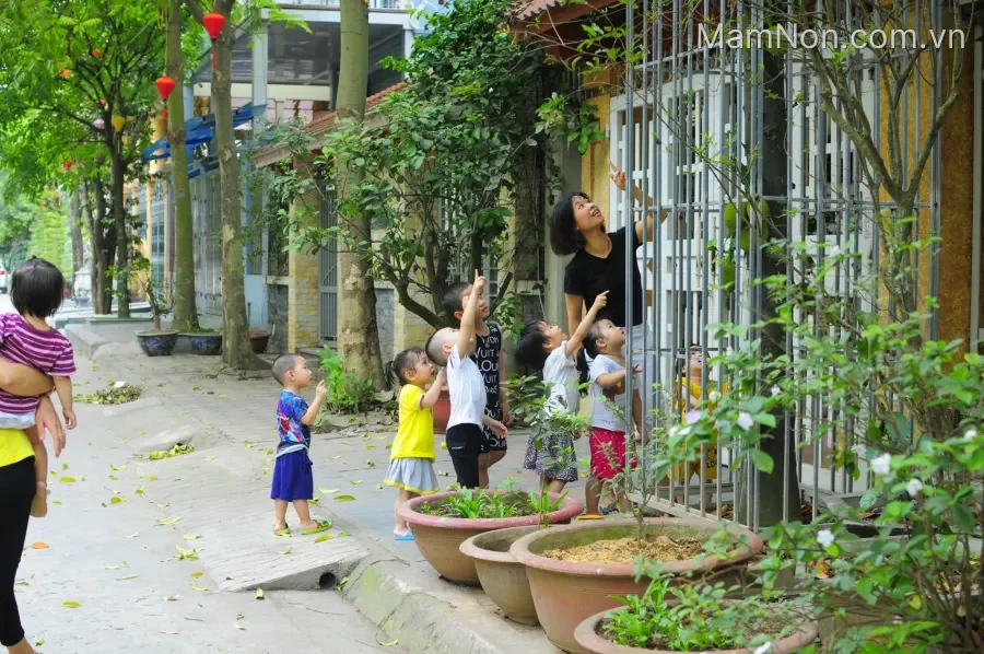 Trường mầm non Kid's House