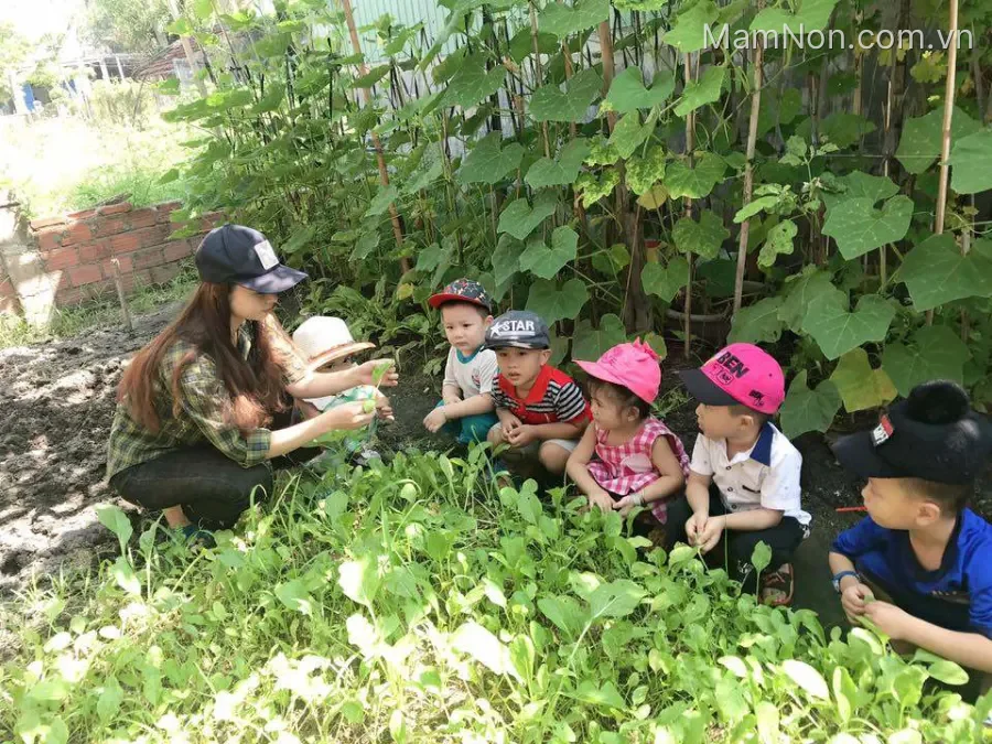 Cơ sở Mầm Non tư thục Họa Mi - TT Phù Mỹ